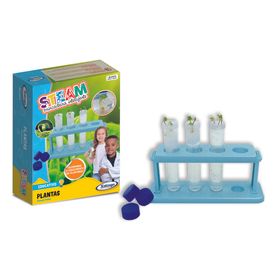 2407.6---STEAM-Plantas-min