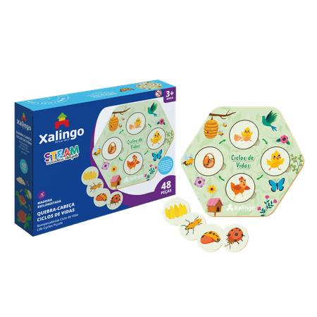 1745.4---STEAM-Ciclos-de-Vidas--1- 1745.4---STEAM-Ciclos-de-Vidas--1-